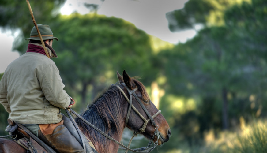 Buttero a cavallo
