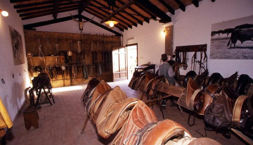 Selleria