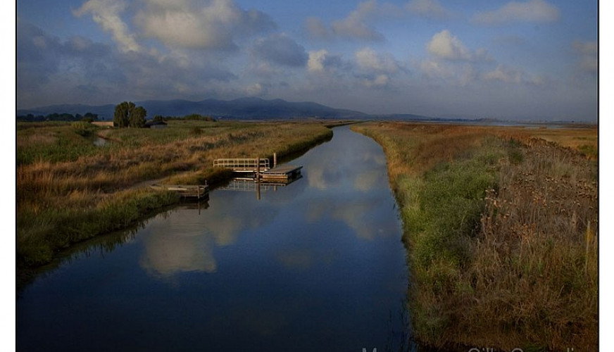 Il Lago Prile e la Diaccia Botrona