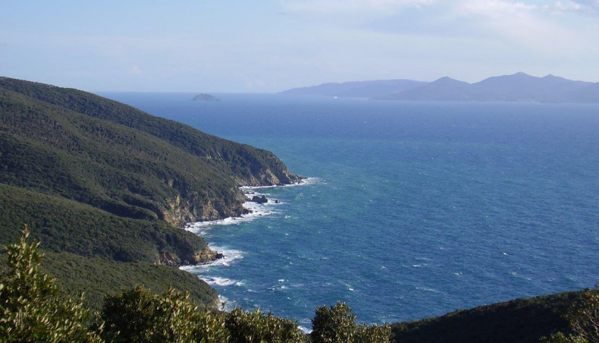 Populonia