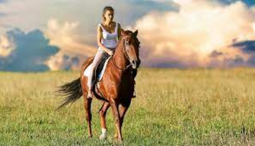 CAVALLO.jpg